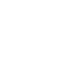 picto_SilliVector_blanc